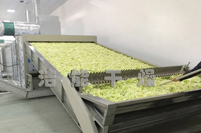 國家農業大發展,潔能果蔬烘干機前景光明